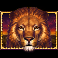 african-quest-lion-symbol
