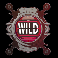 agent-destiny-wild-scatter-symbol