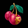 bonsai dragon blitz slot cherries symbol