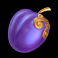 bonsai dragon blitz slot plum symbol