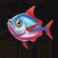 marlin masters atlantis slot blue fish symbol