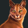wild-cats-multiline-slot-lynx-symbol