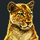 wild-cats-multiline-slot-puma-symbol
