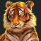wild-cats-multiline-slot-tiger-symbol