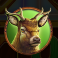 3 apex treasures slot deer symbol
