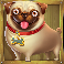 the big dog house pug symbol