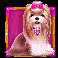 the big dog house yorkshire terrier symbol