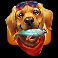 bass cash deluxe king millions dog symbol