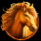 bison rigde power combo horse symbol