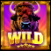 bison rigde power combo wild symbol