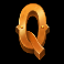track n gold slot q symbol