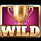 world class kick off dream drop wild symbol