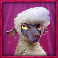 agroculture sheep symbol