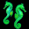 bioluminanza seahorses symbol