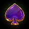 bonus bullets spade symbol