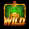 bonus bullets wild symbol