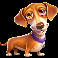 the dog house megaways 1000 dachshund symbol