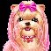 the dog house megaways 1000 maltese symbol