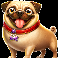 the dog house megaways 1000 pug symbol