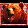 5 wild buffalo dream drop bear symbol