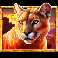 5 wild buffalo dream drop big cat symbol