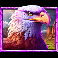 5 wild buffalo dream drop eagle symbol