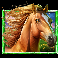 5 wild buffalo dream drop horse symbol