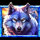 5 wild buffalo dream drop wolf symbol