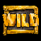 aftermath wild symbol