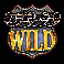 duck hunters 2 wild symbol