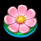 quackers slot pink flower symbol