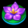 quackers slot purple flower symbol