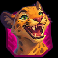 rumble kong cashingo leopard symbol