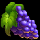 wolf fury fire blitz grapes symbol