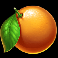 wolf fury fire blitz orange symbol