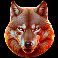 wolf fury fire blitz scatter symbol