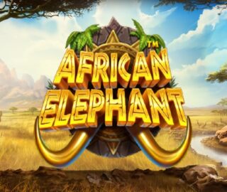 Logo image for African elephant Image