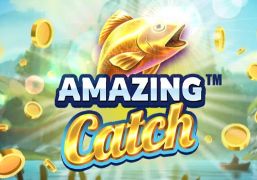 Image for Amazing catch