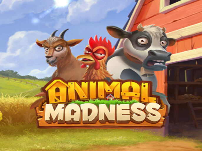 Animal Madness Slot Review