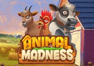 Logo image for Animal madness Image