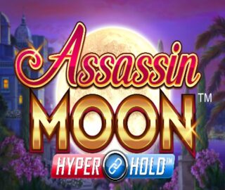 Image for Assassin Moon Image