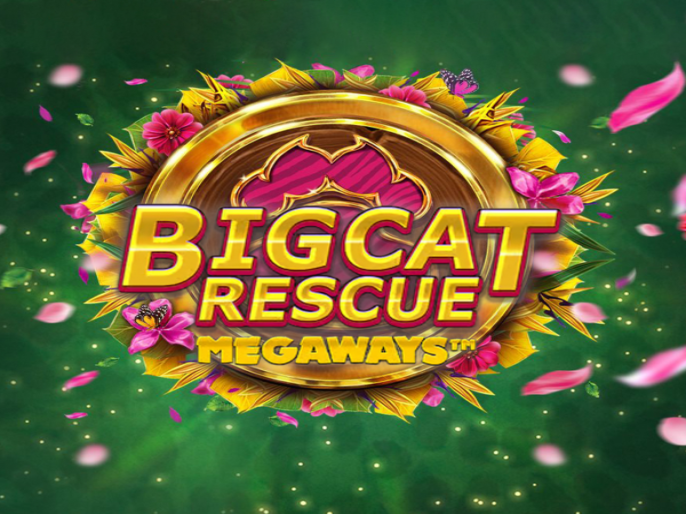 Big Cat Rescue Megaways Slot Review