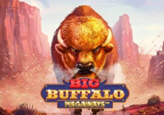 Big buffalo megaways Image