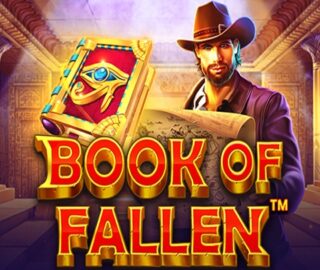 Image for Book Of Fallen Image