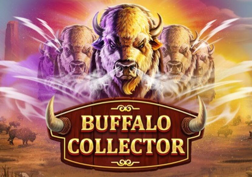 Logo image for Buffalo collector