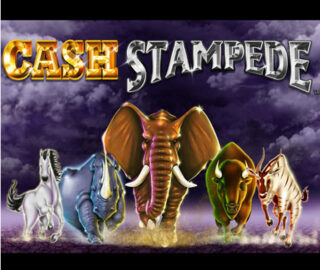 Logo image for Cash stampede Image