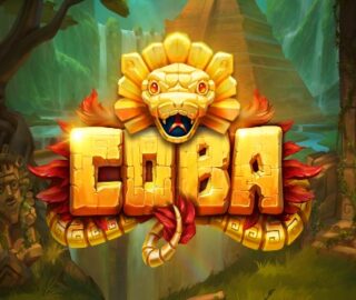 Logo image for Coba Image