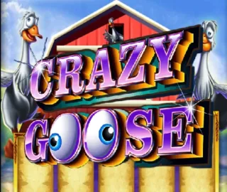Logo image for Crazy goose Image