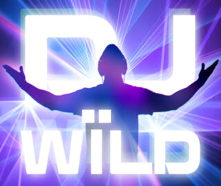 Image for Dj wild Image