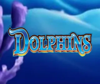 Logo image for Dolphins Image